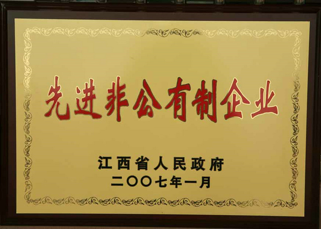 先進非公有制企業(yè)